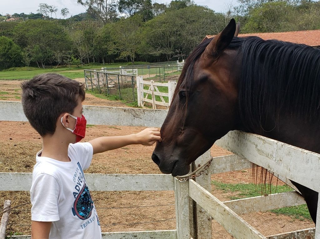 Criança fazendo carinho em cavalo