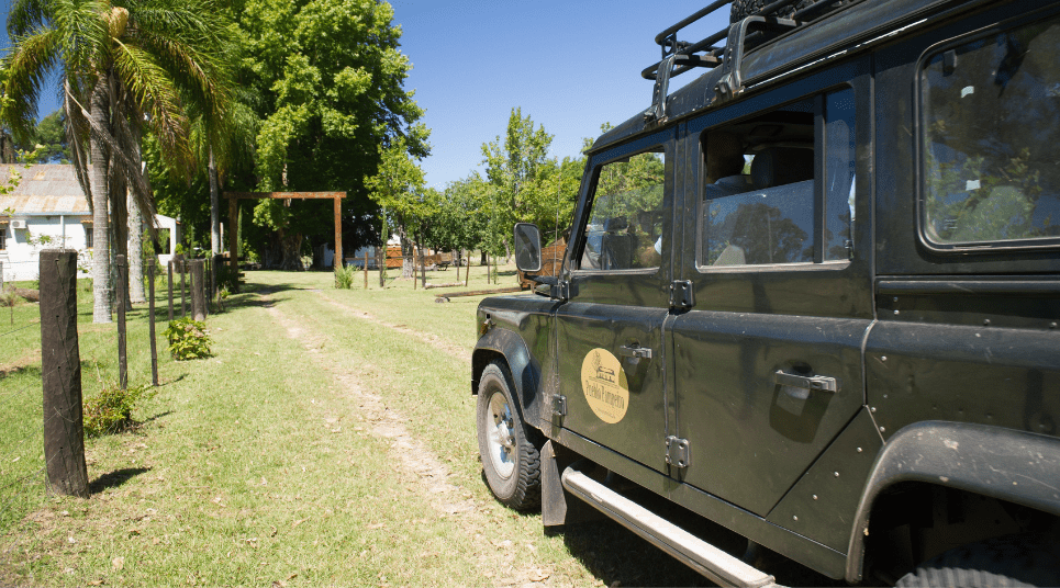 Vinícola nos Pampas