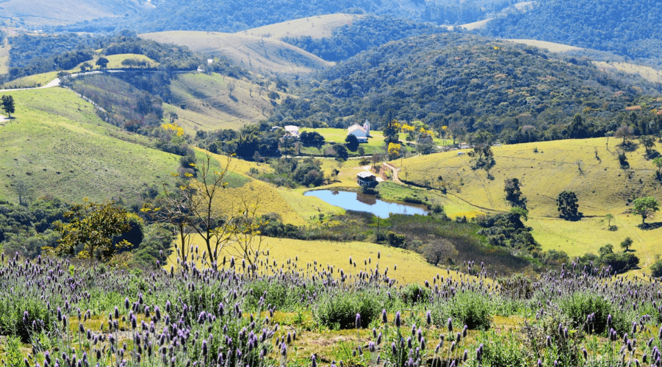 Paisagem em Cunha